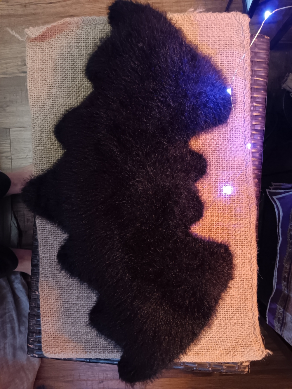Plush Black Accent Pillow Just In Time For HALLOWEEN